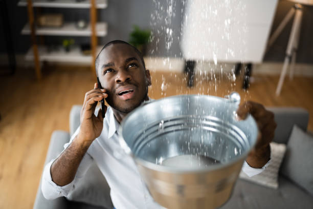 Best Fire Damage Restoration  in Lake Barrington, IL