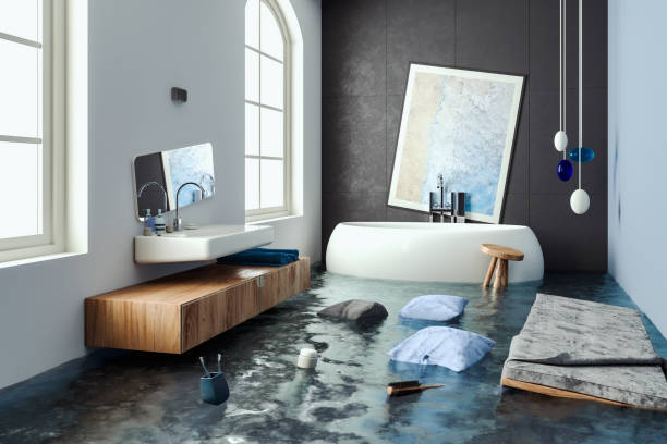Best Basement water damage restoration  in Lake Barrington, IL