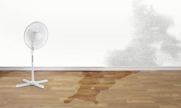 Best Water damage contractors near me  in Lake Barrington, IL