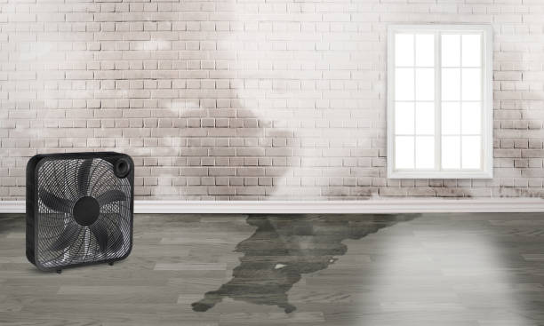 Best Ceiling water damage repair  in Lake Barrington, IL