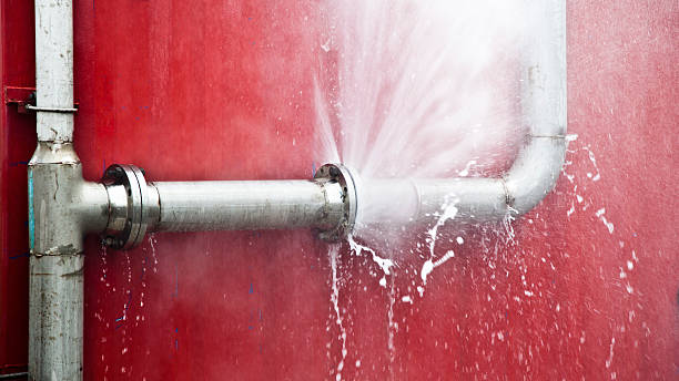 Best Basement water damage restoration  in Lake Barrington, IL